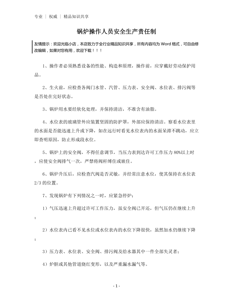 锅炉操作人员安全生产责任制.docx_第1页