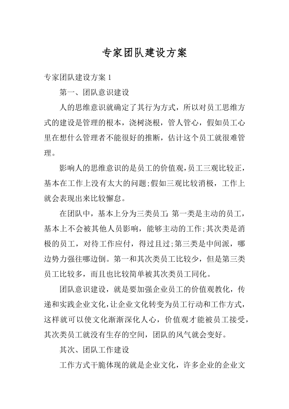 专家团队建设方案精编.docx_第1页