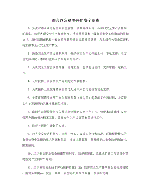 综合办公室主任的安全职责.docx