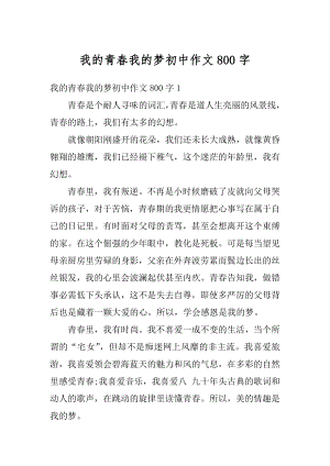 我的青春我的梦初中作文800字精选.docx