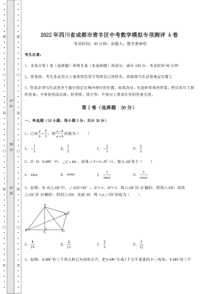 【真题汇编】2022年四川省成都市青羊区中考数学模拟专项测评-A卷(含详解).docx