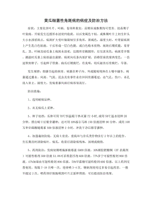 黄瓜细菌性角斑病的病症及防治方法.docx