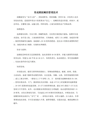 育成期泥鳅的管理技术.docx