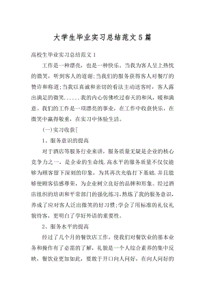 大学生毕业实习总结范文5篇精编.docx