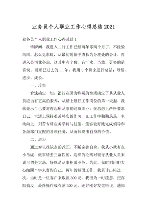 业务员个人职业工作心得总结例文.docx