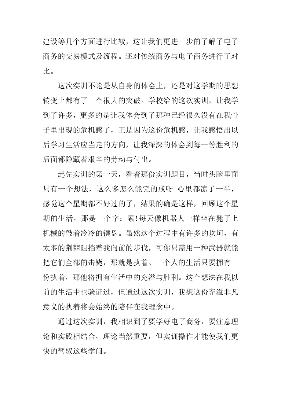 电商个人实习心得体会汇编.docx_第2页