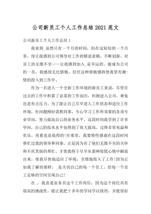 公司新员工个人工作总结2021范文精选.docx