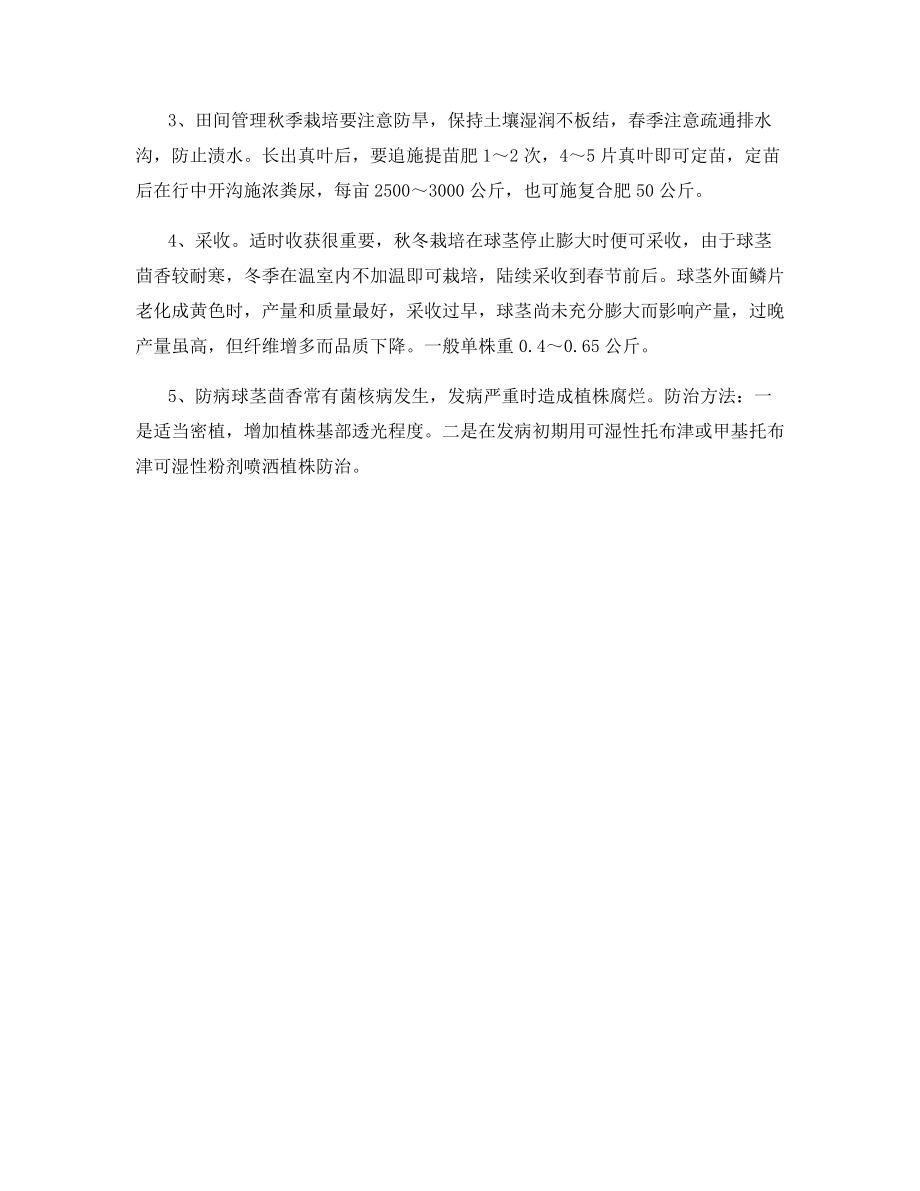 结球茴香的栽培技术.docx_第2页