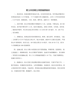 夏玉米苗期五项措施要做好.docx