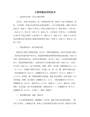 小麦种植实用的技术.docx