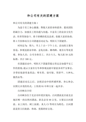 和公司有关的团建方案汇编.docx