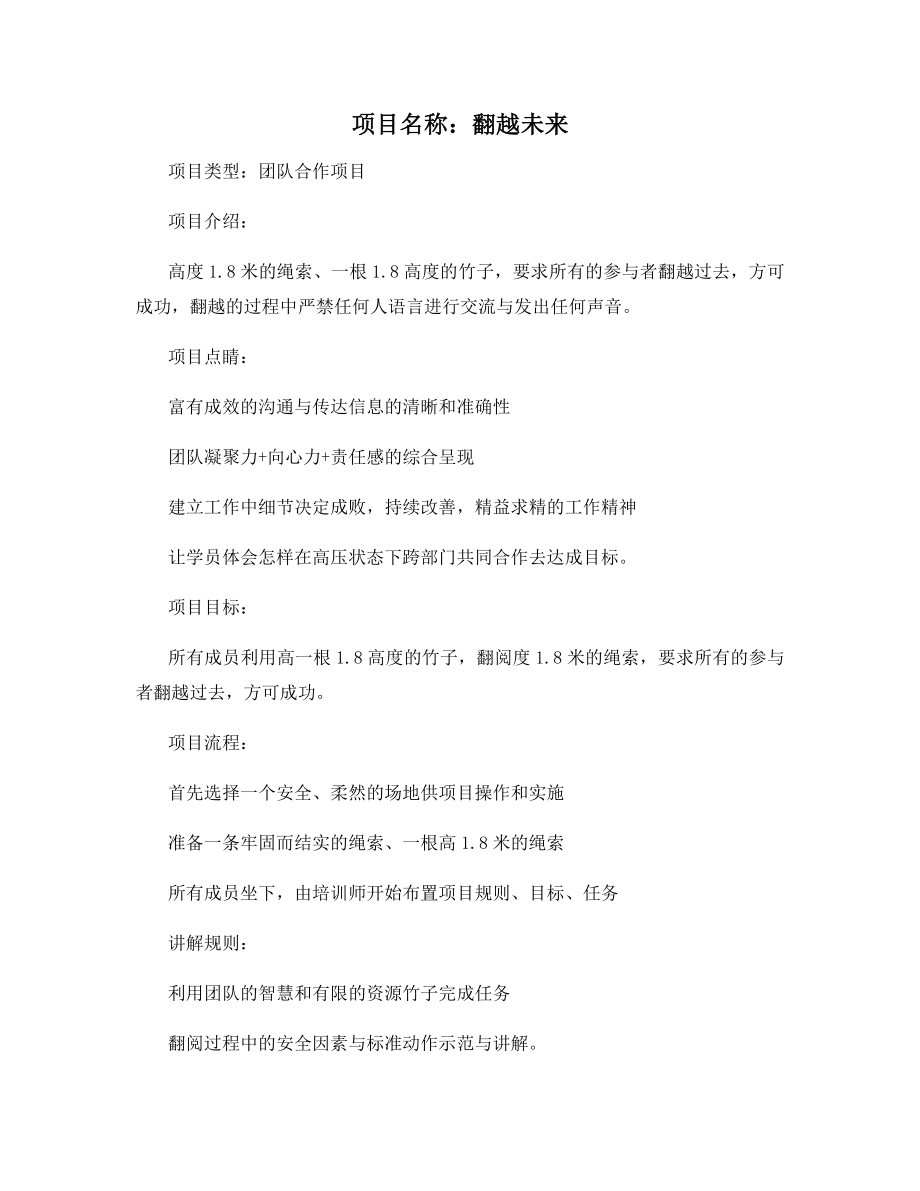 项目名称：翻越未来.docx_第1页