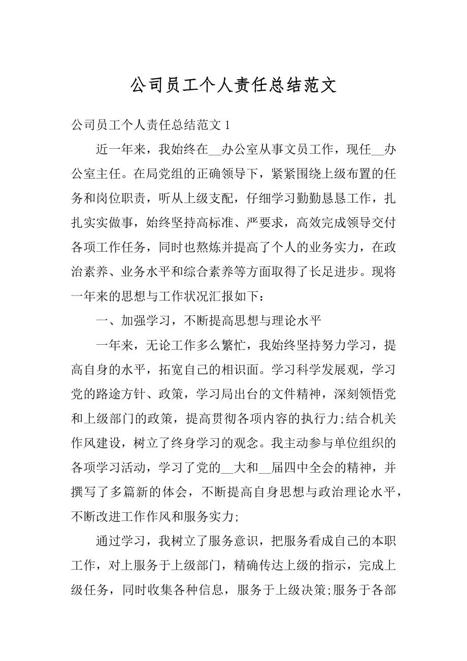 公司员工个人责任总结范文汇编.docx_第1页