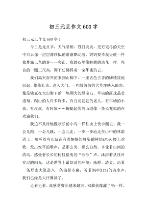 初三元旦作文600字汇编.docx