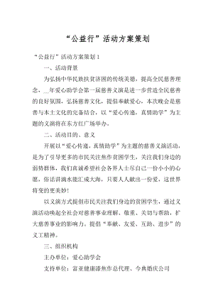 “公益行”活动方案策划优质.docx