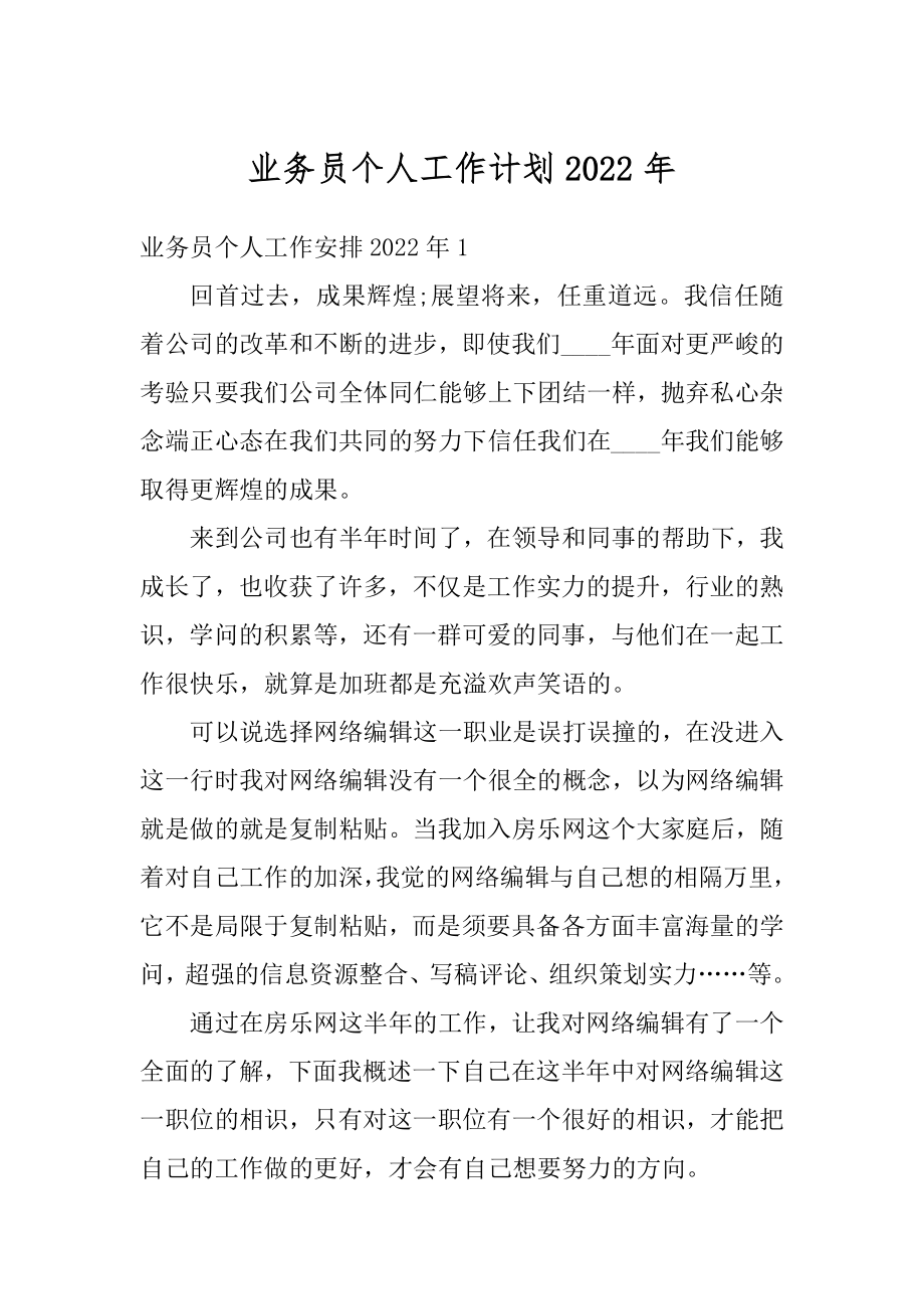 业务员个人工作计划2022年范例.docx_第1页