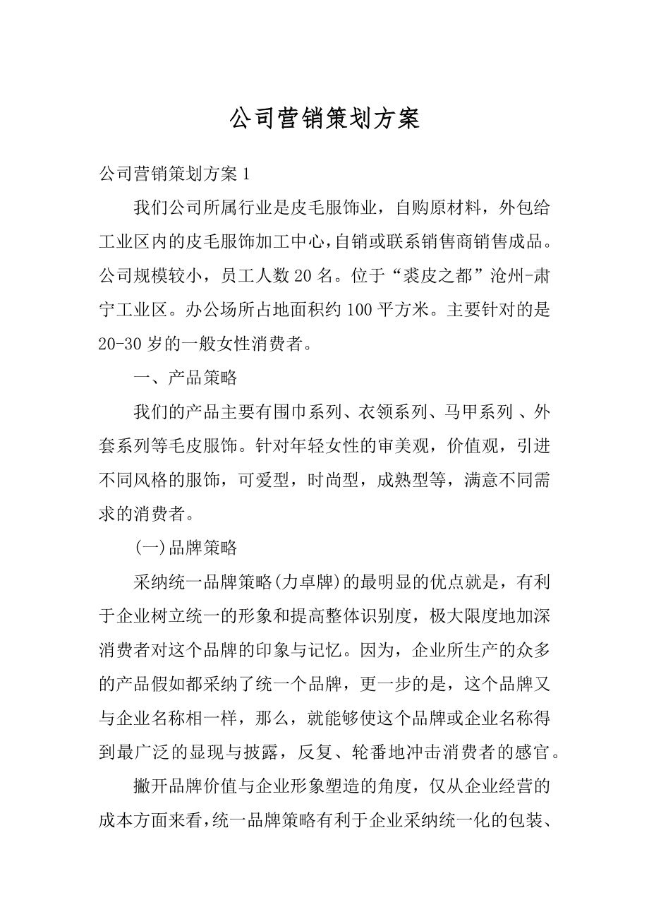 公司营销策划方案精编.docx_第1页