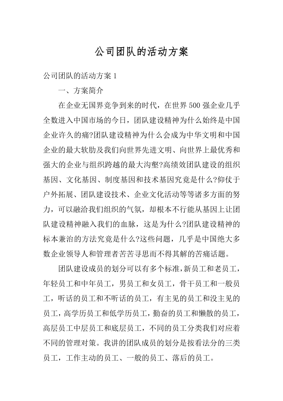 公司团队的活动方案精编.docx_第1页