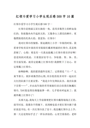 红领巾爱学习小学生观后感500字10篇精选.docx