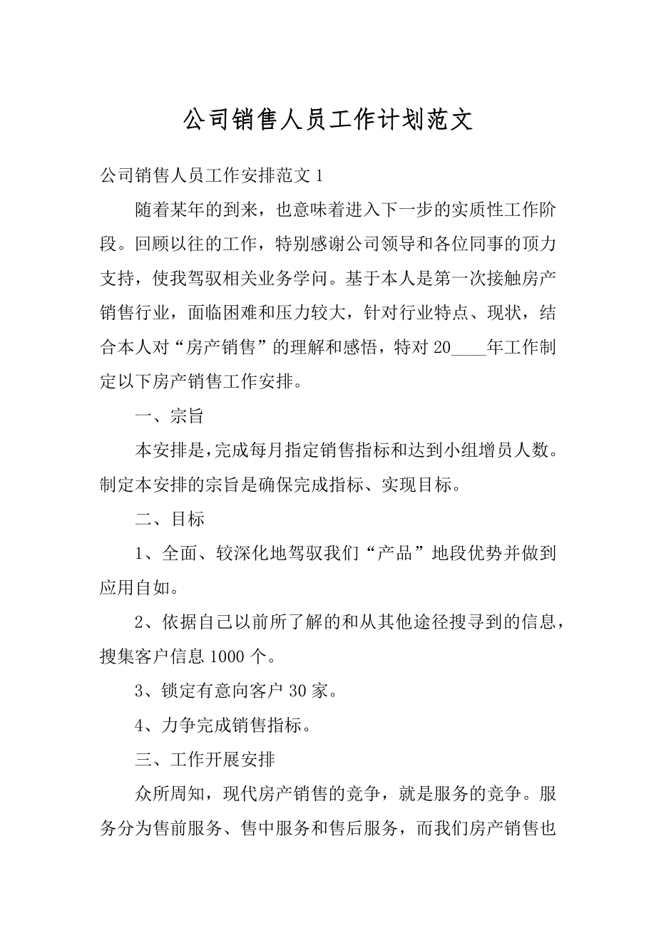 公司销售人员工作计划范文优质.docx_第1页