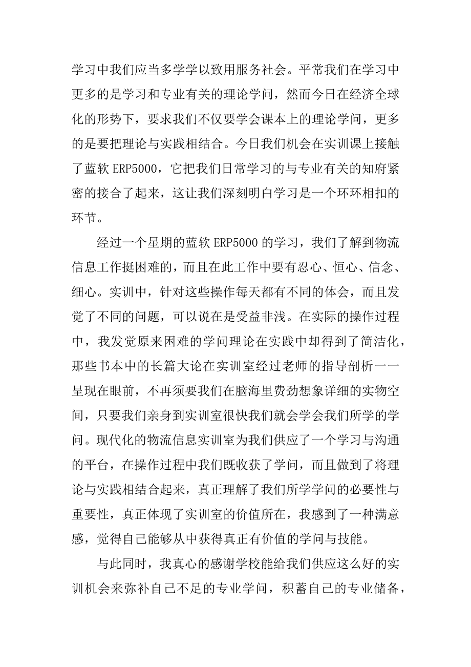 物流实训个人工作总结汇报例文.docx_第2页