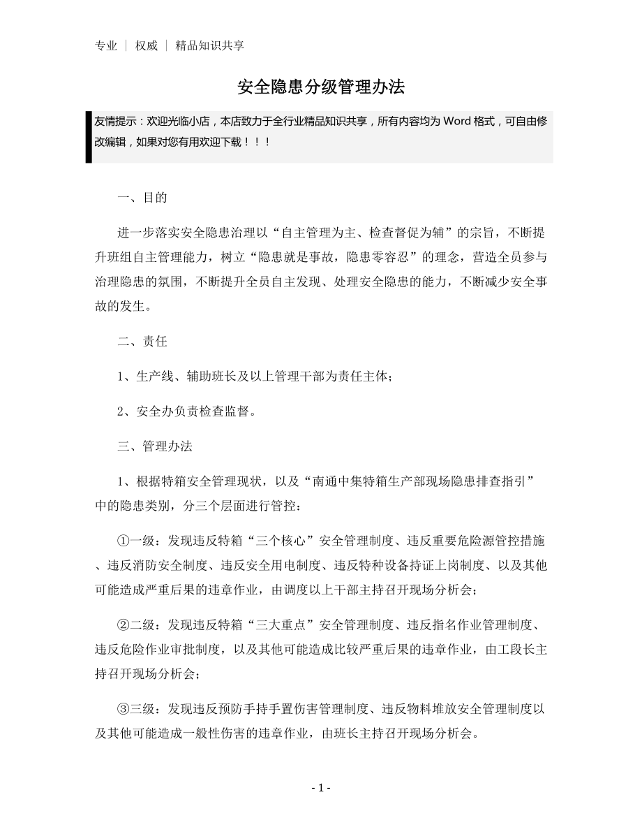 安全隐患分级管理办法.docx_第1页