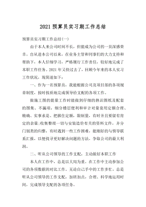 2021预算员实习期工作总结范本.docx