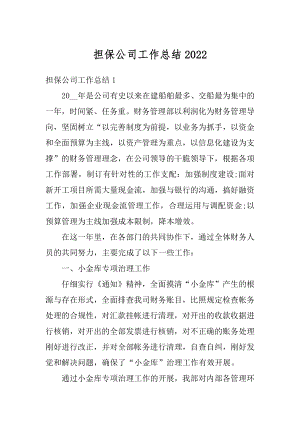 担保公司工作总结汇编.docx