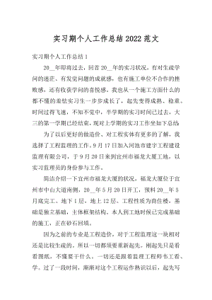 实习期个人工作总结2022范文汇编.docx