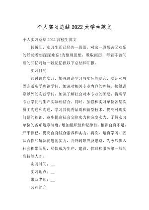 个人实习总结2022大学生范文精选.docx