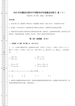 强化训练2022年安徽省合肥市中考数学历年真题定向练习-卷(Ⅰ)(含答案详解).docx