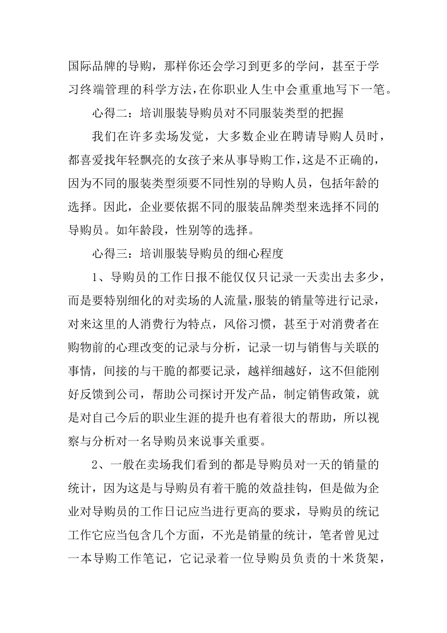 导购员个人工作总结模板精编.docx_第2页