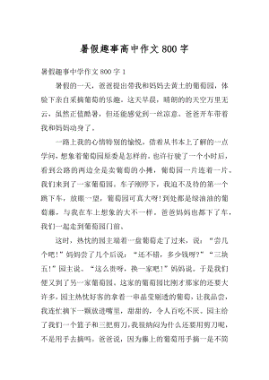 暑假趣事高中作文800字范文.docx