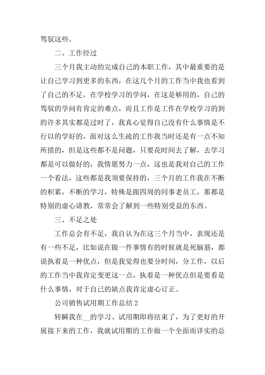 公司销售试用期工作总结范例.docx_第2页