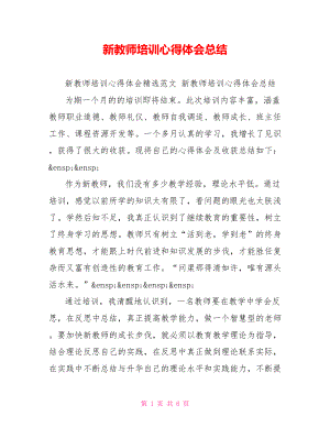 新教师培训心得体会总结.doc