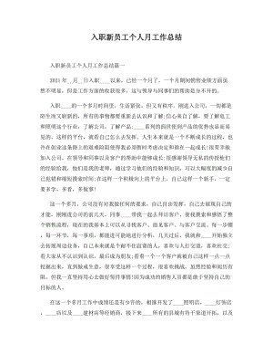 入职新员工个人月工作总结.docx