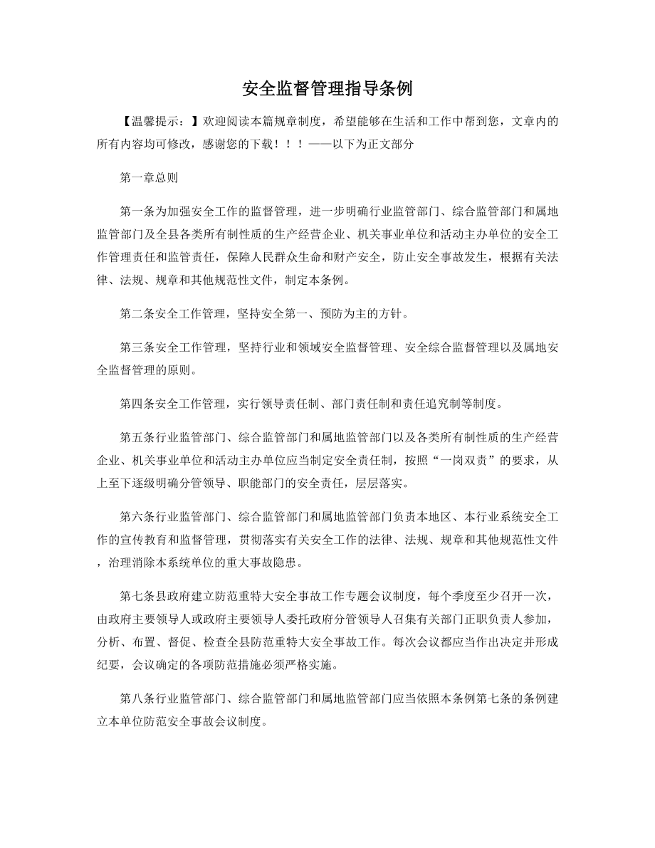 安全监督管理指导条例精选.docx_第1页