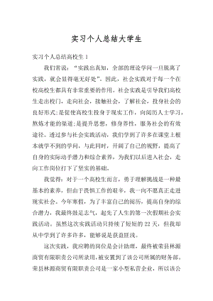 实习个人总结大学生例文.docx