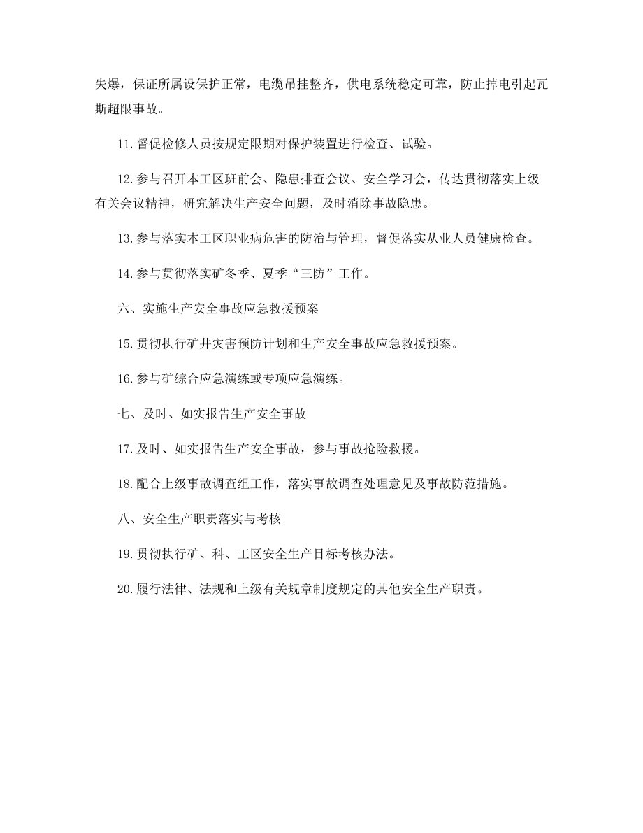 电管工区电气管理员班队长安全生产责任制.docx_第2页