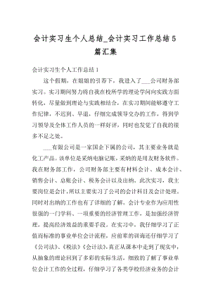 会计实习生个人总结_会计实习工作总结5篇汇集汇编.docx