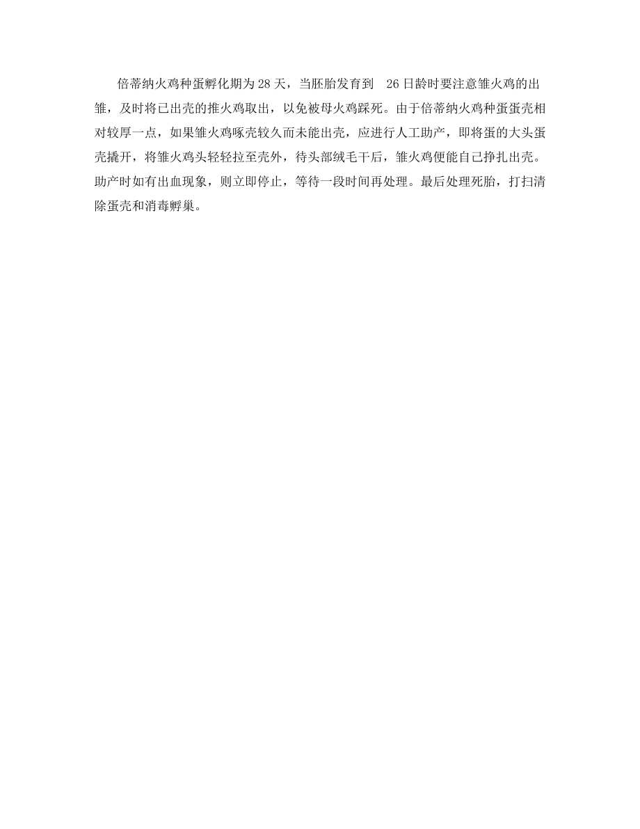 倍蒂纳火鸡孵化技术要点.docx_第2页