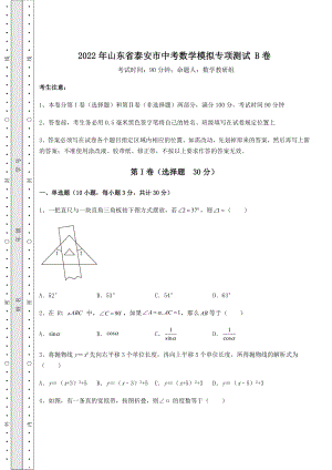 【难点解析】2022年山东省泰安市中考数学模拟专项测试-B卷(含答案及解析).docx