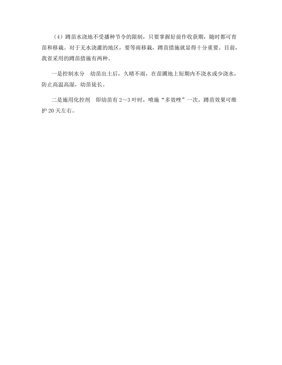 玉米育苗移栽技术.docx_第2页