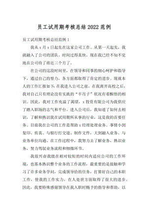 员工试用期考核总结2022范例优质.docx