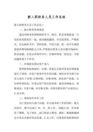 新入职财务人员工作总结例文.docx