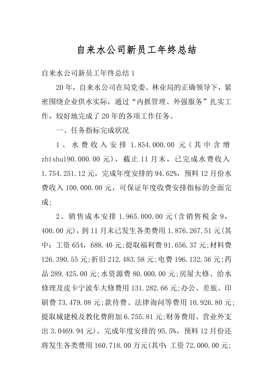 自来水公司新员工年终总结例文.docx_第1页