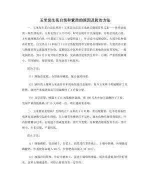 玉米发生花白苗和紫苗的原因及防治方法.docx