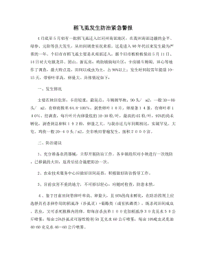 稻飞虱发生防治紧急警报.docx