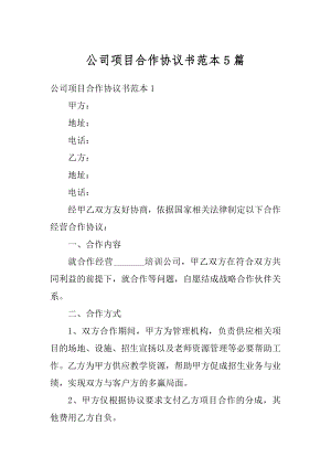 公司项目合作协议书范本5篇范文.docx