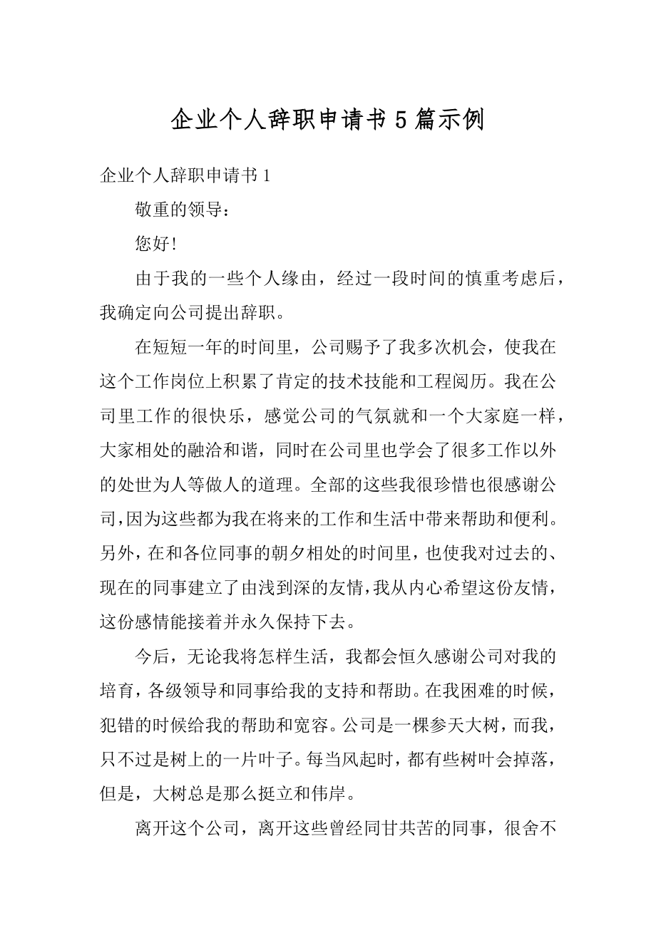 企业个人辞职申请书5篇示例例文.docx_第1页